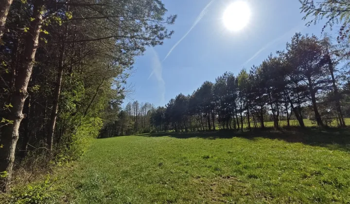 Działka rolno-budowlana Stare Zambski