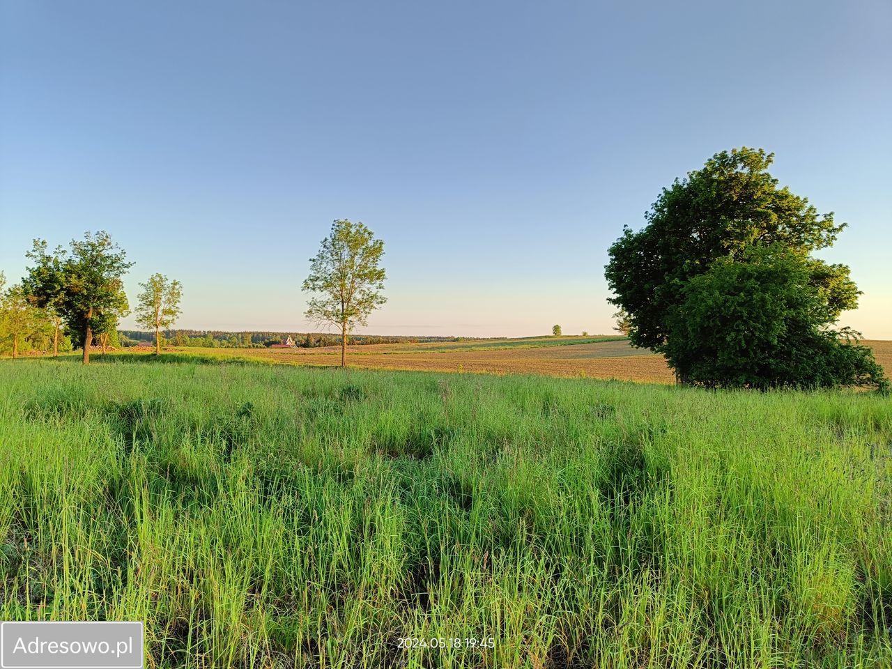 Działka budowlana Kamionki. Zdjęcie 8