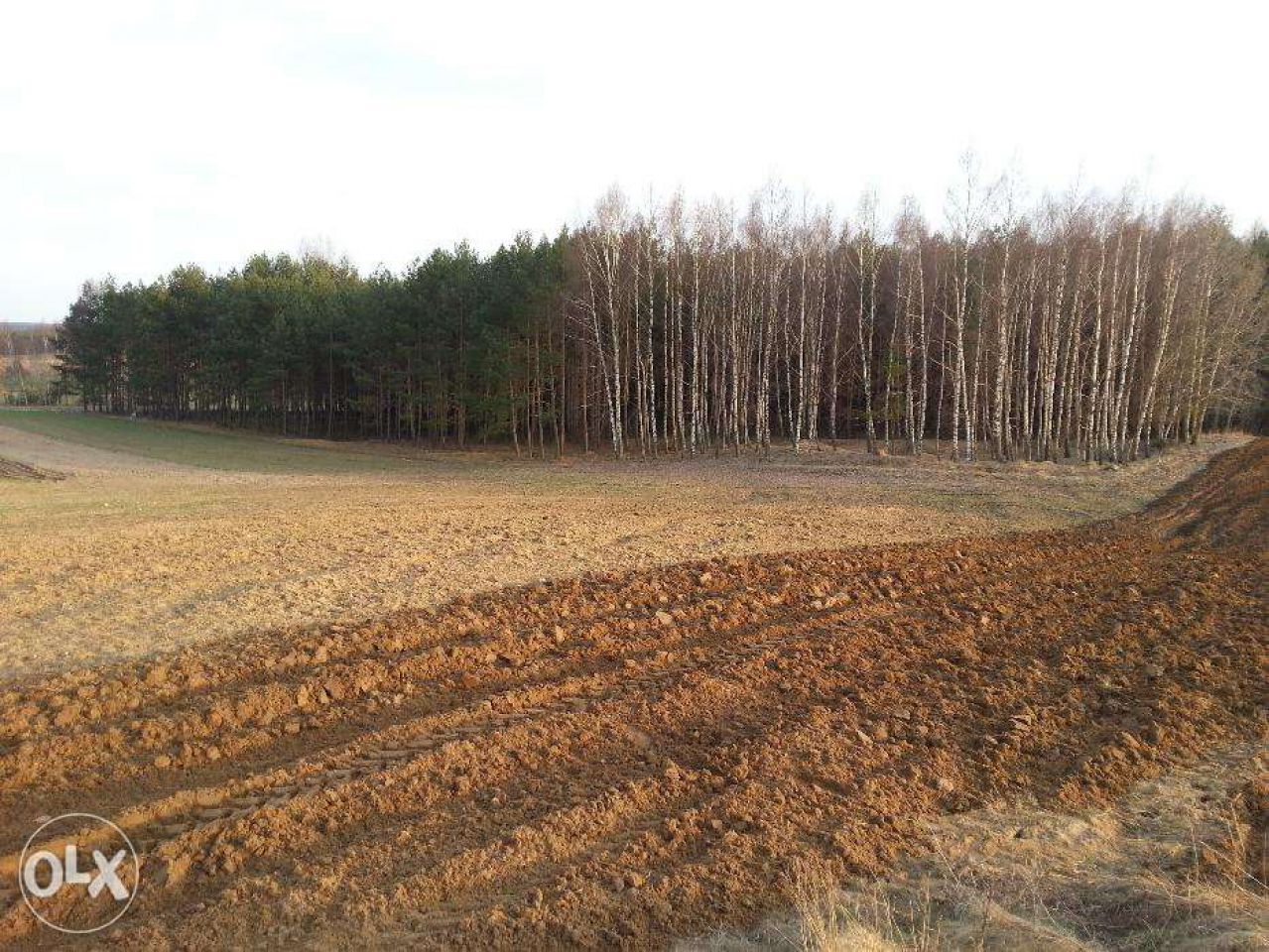 Działka rolna Smętowo Graniczne. Zdjęcie 6