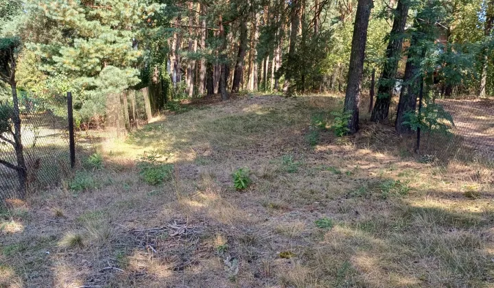 Działka budowlana Siamoszyce, ul. Edukacyjna