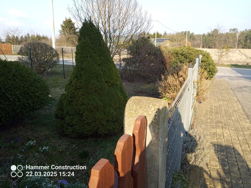 bliźniak Łąkorz. Zdjęcie 4