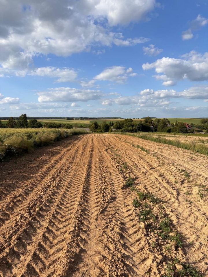 Działka siedliskowa Jaślików. Zdjęcie 5