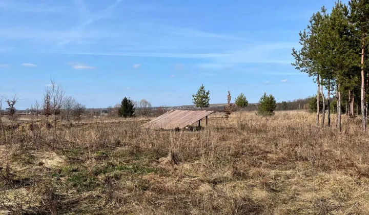 Działka rekreacyjna Mirocice