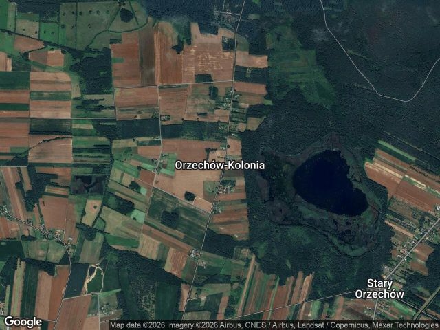 Działka rekreacyjna Orzechów-Kolonia. Zdjęcie 1