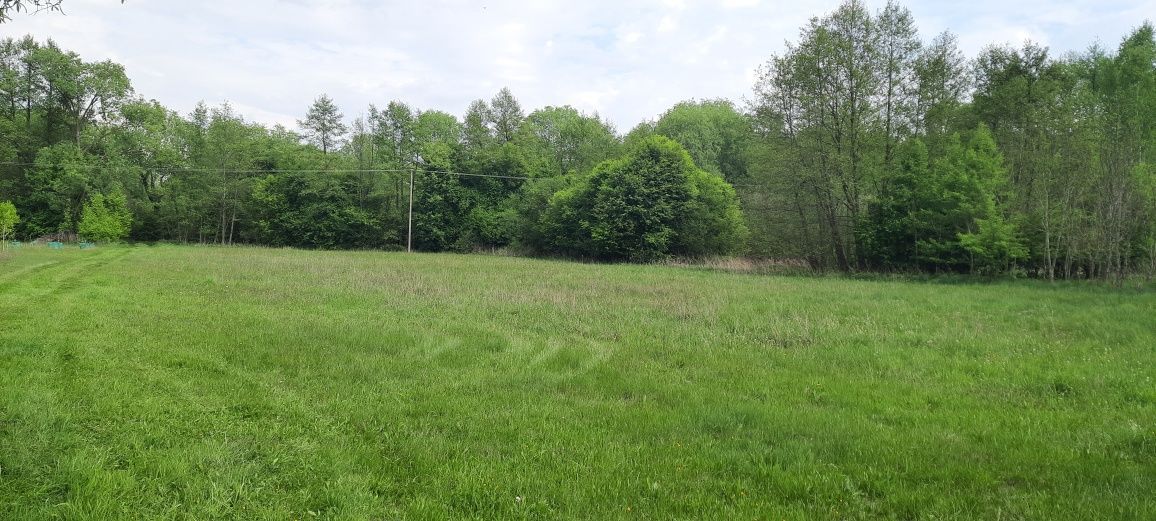 Działka rekreacyjna Rembieszów. Zdjęcie 2