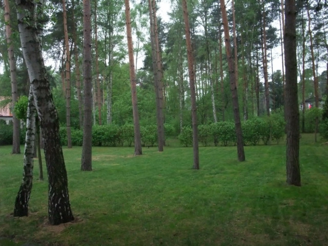 Działka budowlana Konstancin-Jeziorna Konstancin, ul. Potulickich. Zdjęcie 1