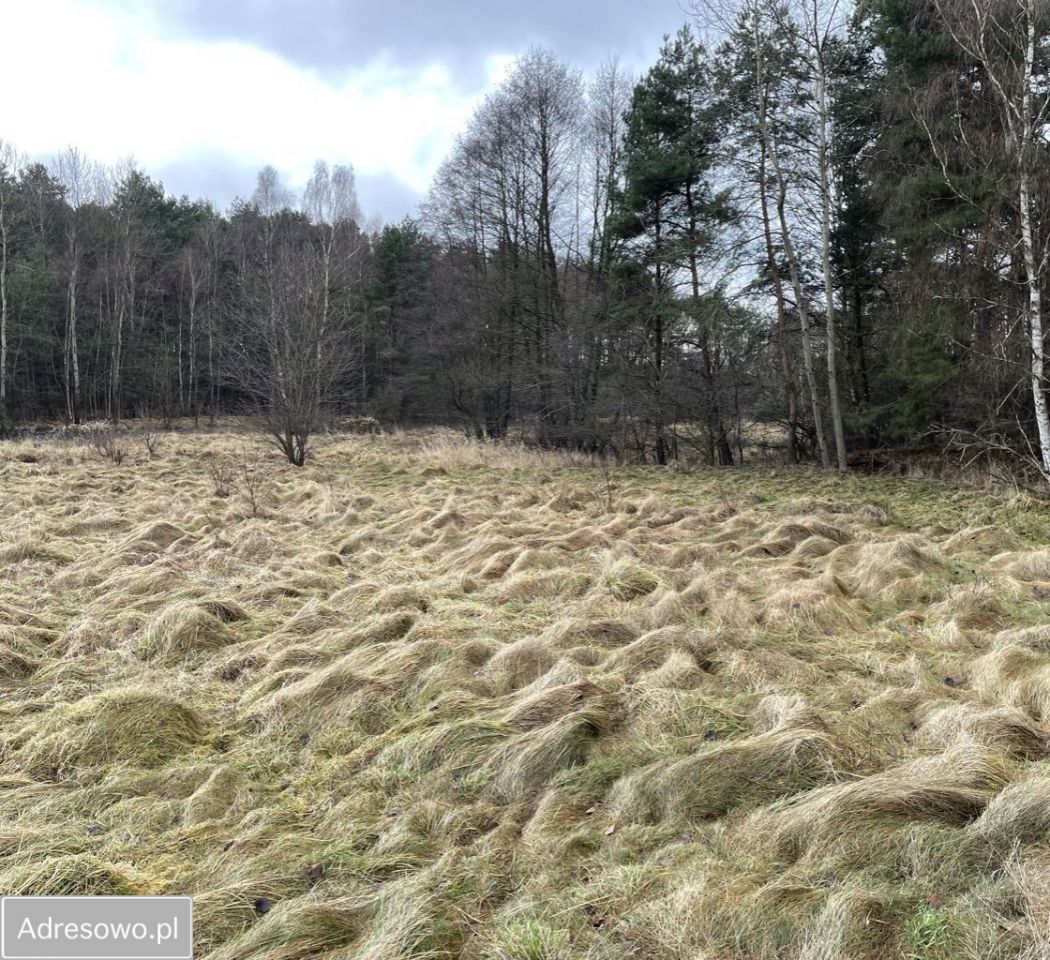 Nieruchomość komercyjna Tworóg. Zdjęcie 4