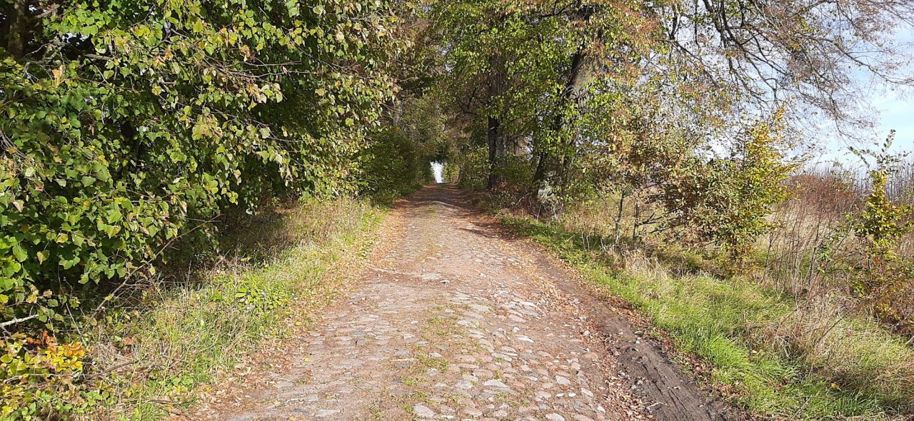 Działka rolno-budowlana Warkałki. Zdjęcie 4