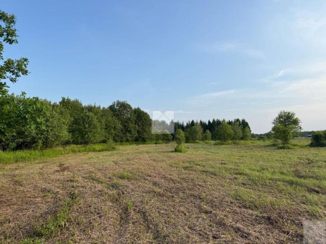 Działka rekreacyjna Radawa, ul. Cienkie. Zdjęcie 2