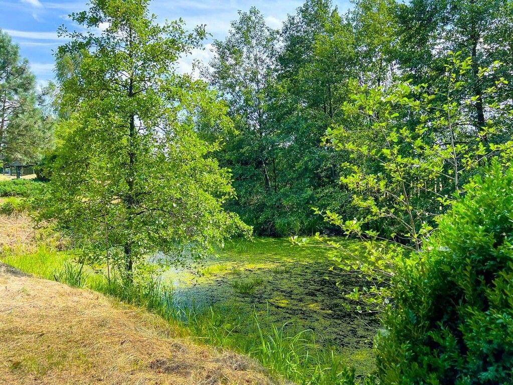Działka budowlana Boguszków. Zdjęcie 19