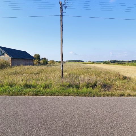 Działka rolno-budowlana Albinów. Zdjęcie 1