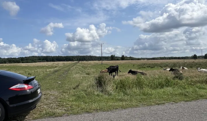 Działka rolna Krupy