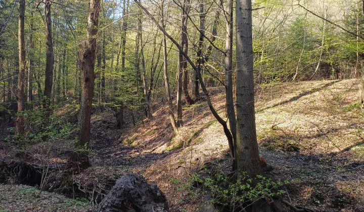 Działka leśna Inwałd Podgóry, Zagórnicka