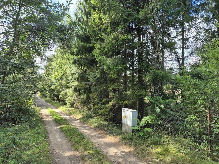 Działka rekreacyjna Bożepole Królewskie. Zdjęcie 17