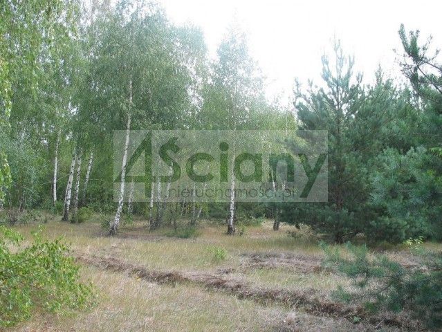 Działka budowlana Chotomów. Zdjęcie 3