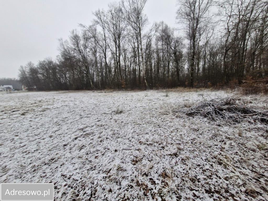 Działka rolno-budowlana Bobrek, ul. Leśna. Zdjęcie 3