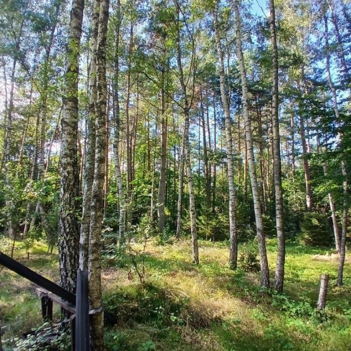 Działka rekreacyjna Lewinko. Zdjęcie 20