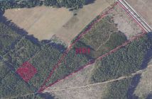 Działka leśna Chorzele. Zdjęcie 2