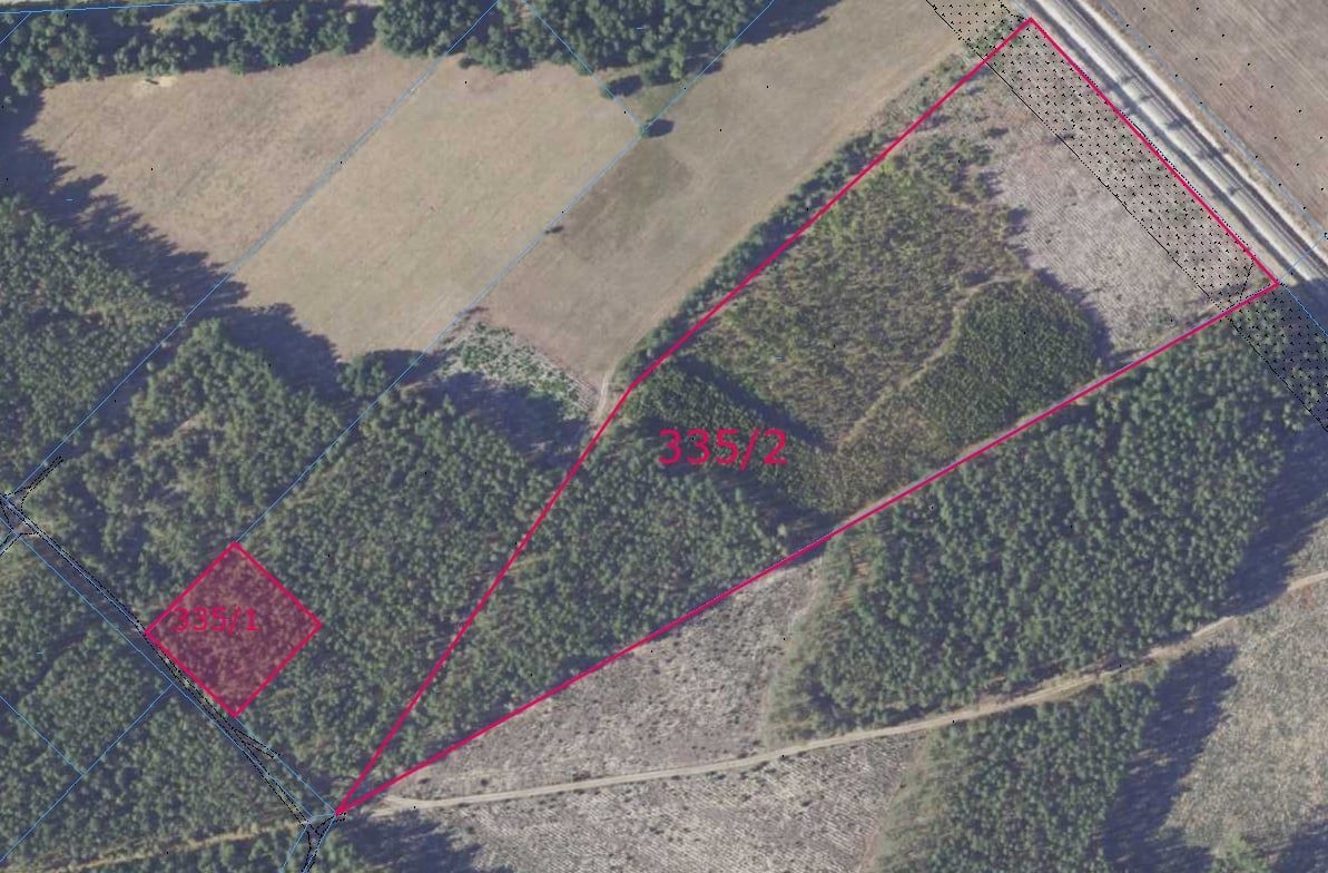 Działka leśna Chorzele. Zdjęcie 3