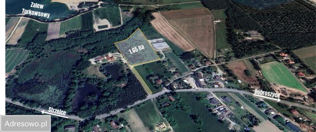 Działka rolna Strzelce. Zdjęcie 1