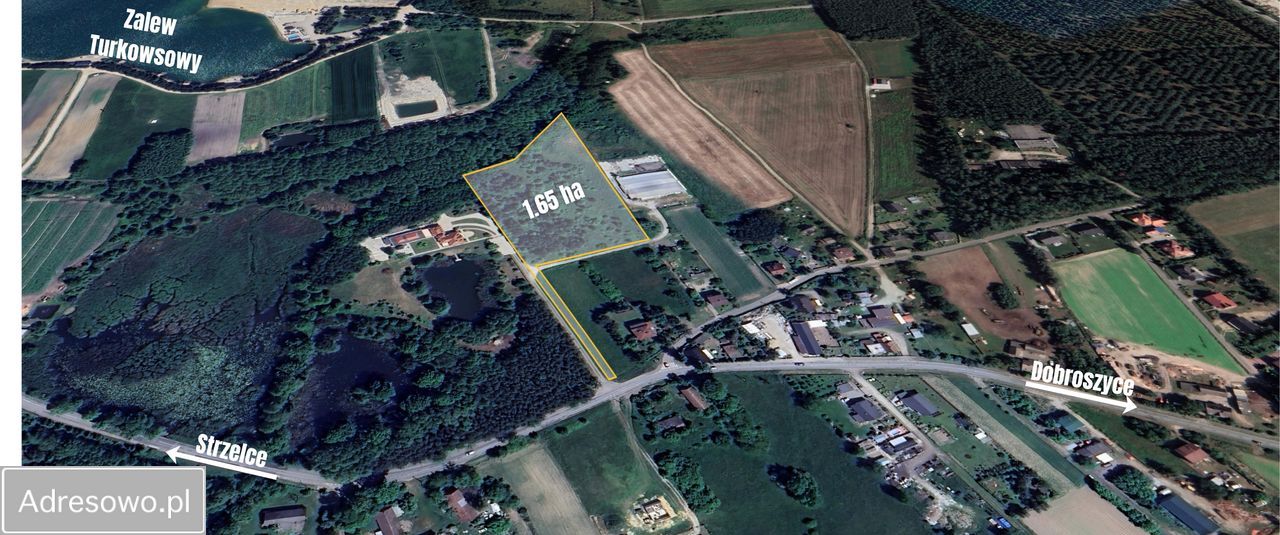 Działka rolna Strzelce