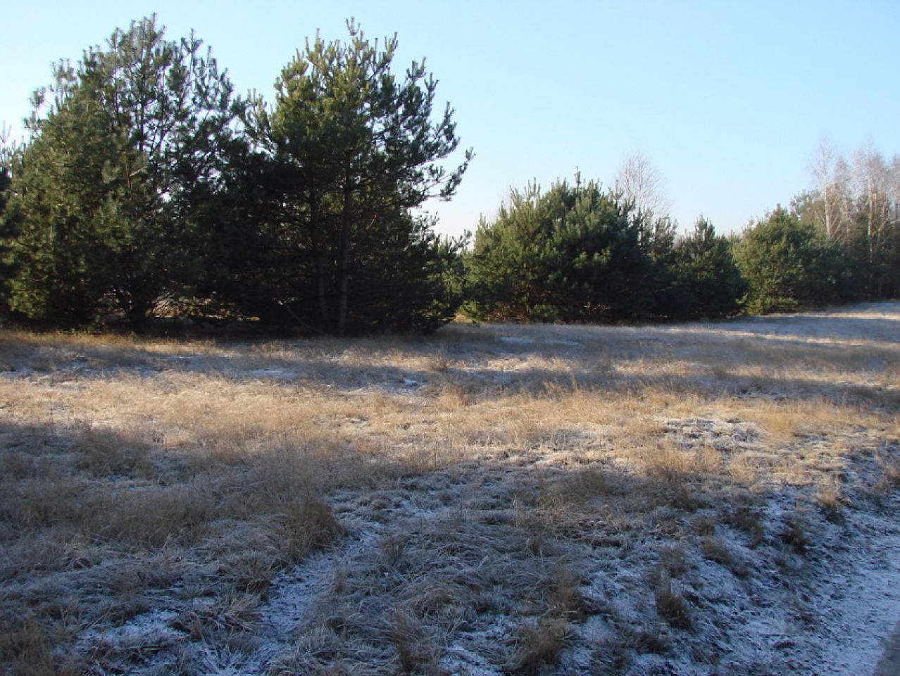 Działka rolno-budowlana Rędziny. Zdjęcie 2