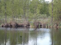 Działka rolno-budowlana Kozjaty. Zdjęcie 2