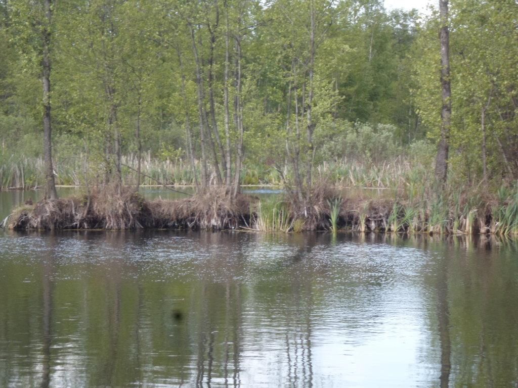 Działka rolno-budowlana Kozjaty. Zdjęcie 3
