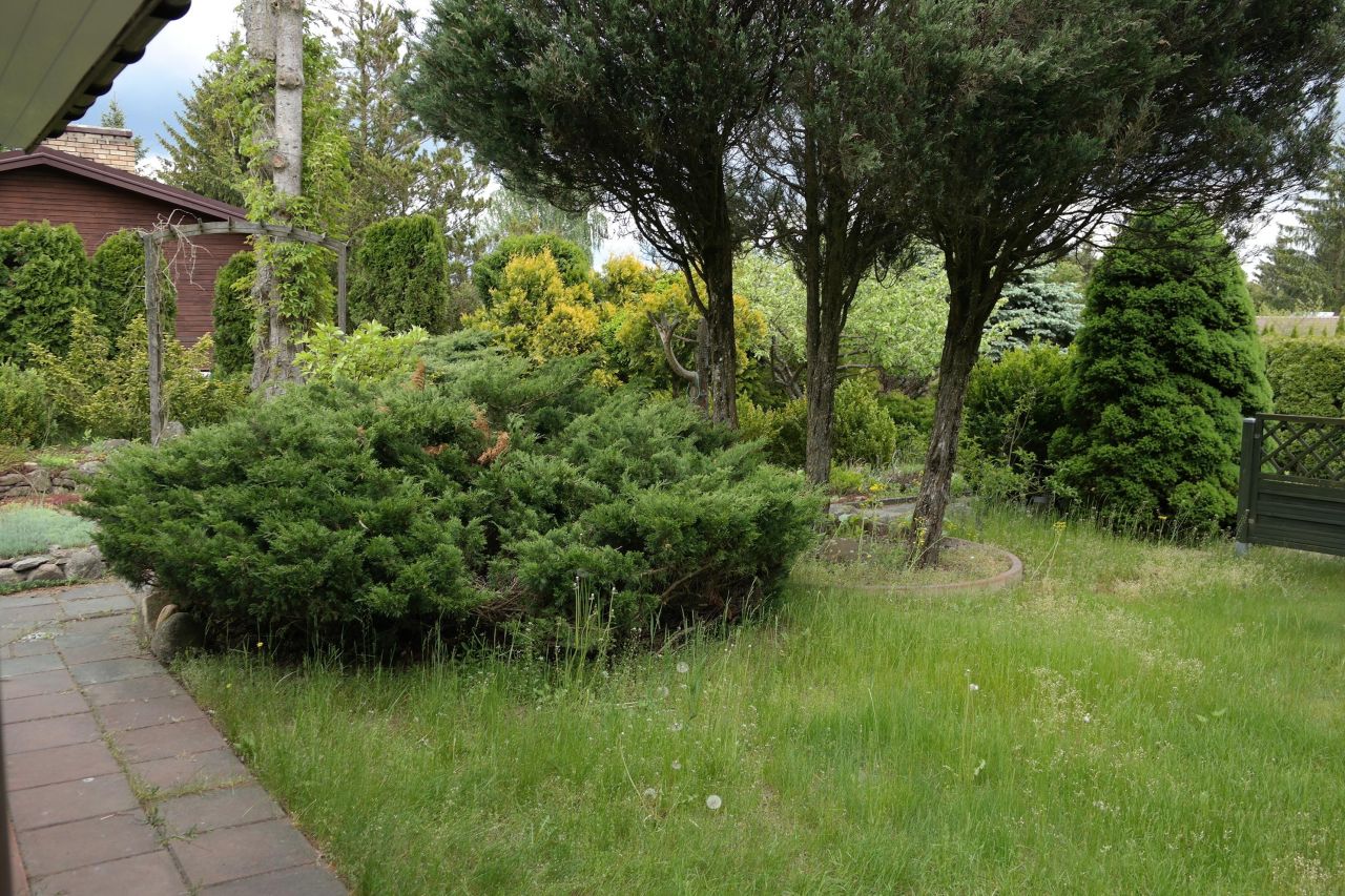 Działka rod Niewodnica Kościelna, ul. Działkowców. Zdjęcie 32