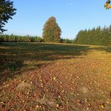 Działka budowlana Wierzbka Górna. Zdjęcie 1