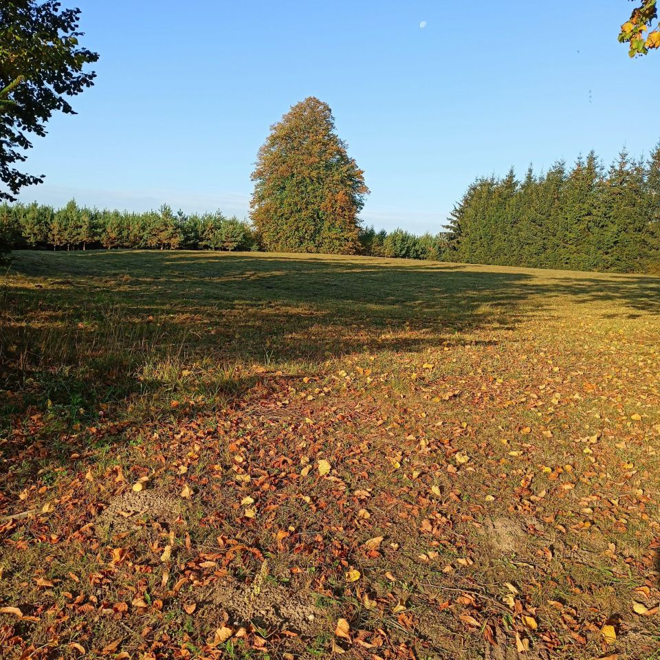 Działka budowlana Wierzbka Górna. Zdjęcie 2