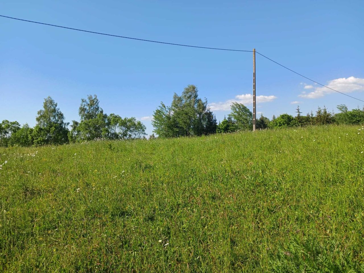 Działka rolna Notyst Mały. Zdjęcie 4