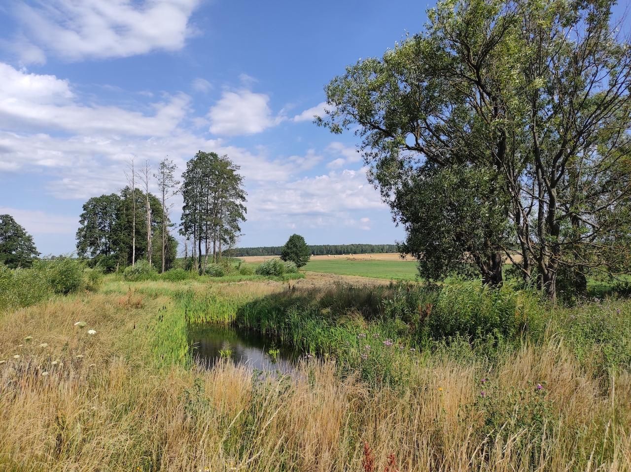 gospodarstwo Starowieś. Zdjęcie 11