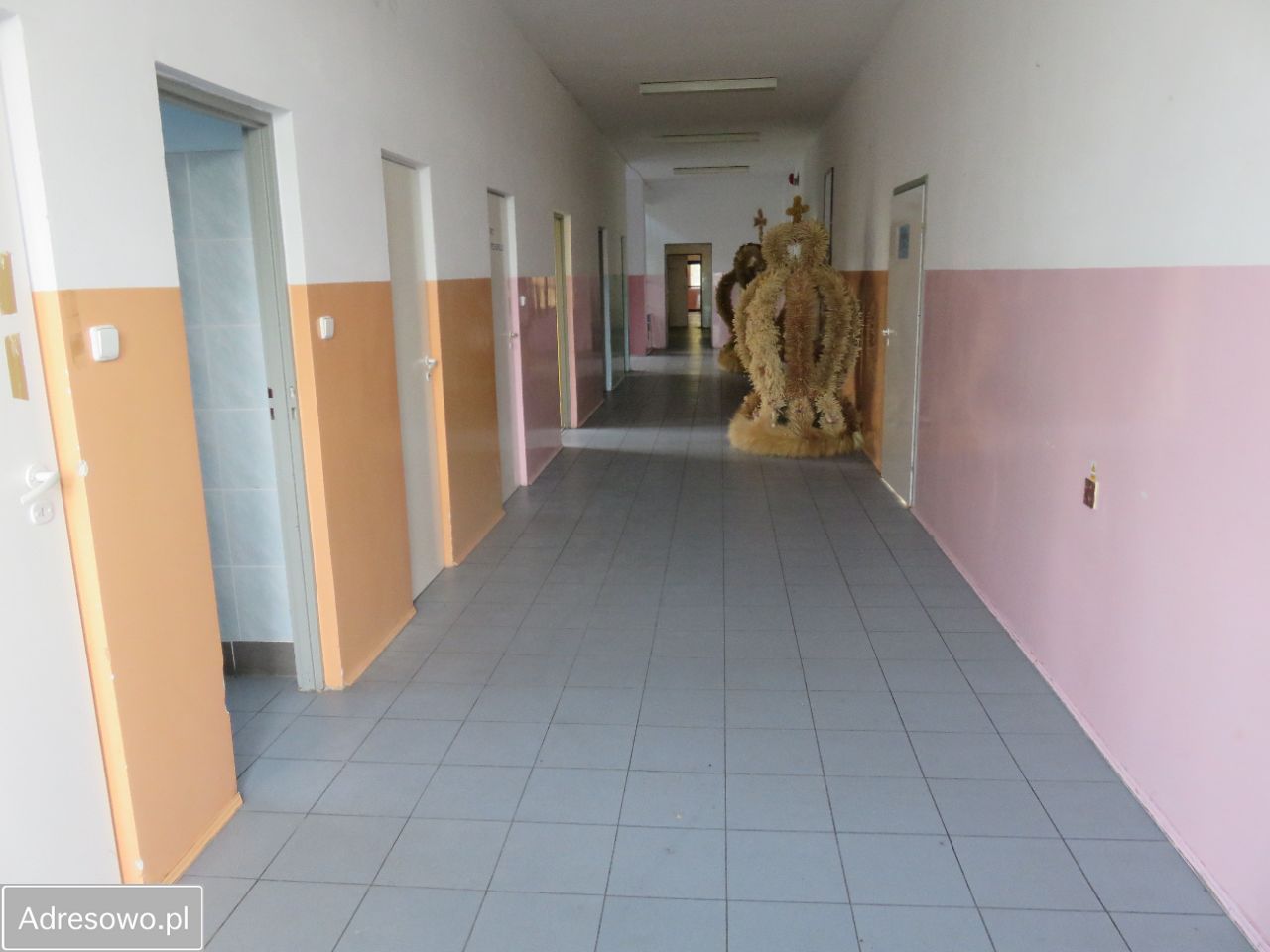 Lokal Paprotnia. Zdjęcie 14