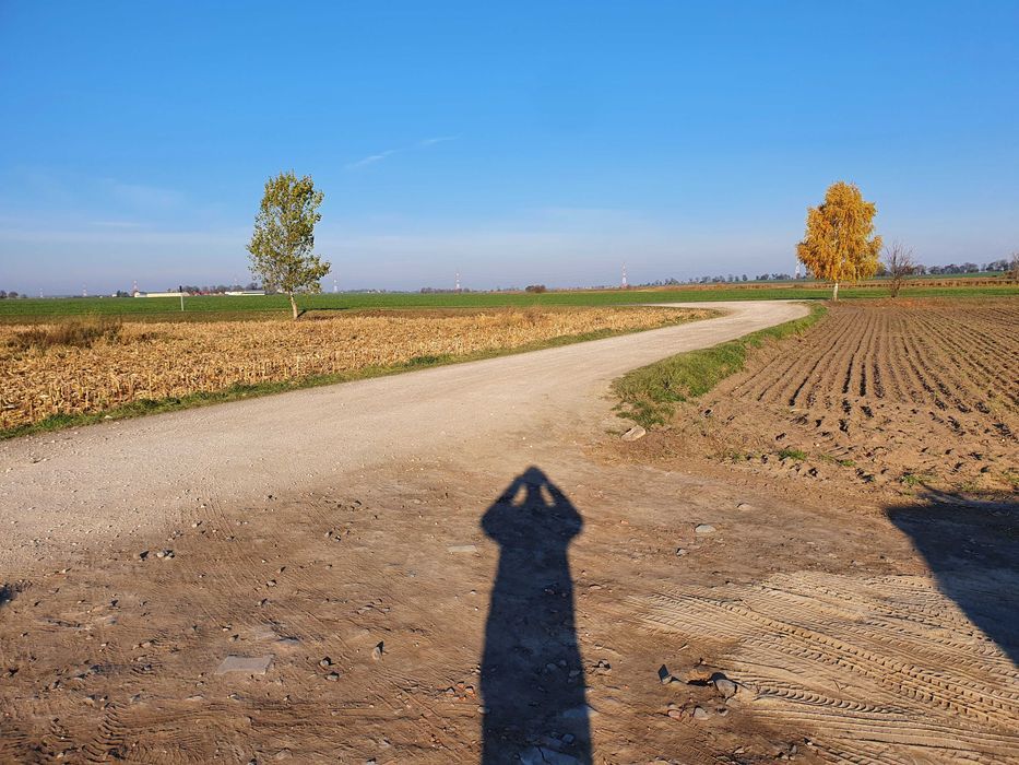 Działka budowlana Trzebisławki. Zdjęcie 2