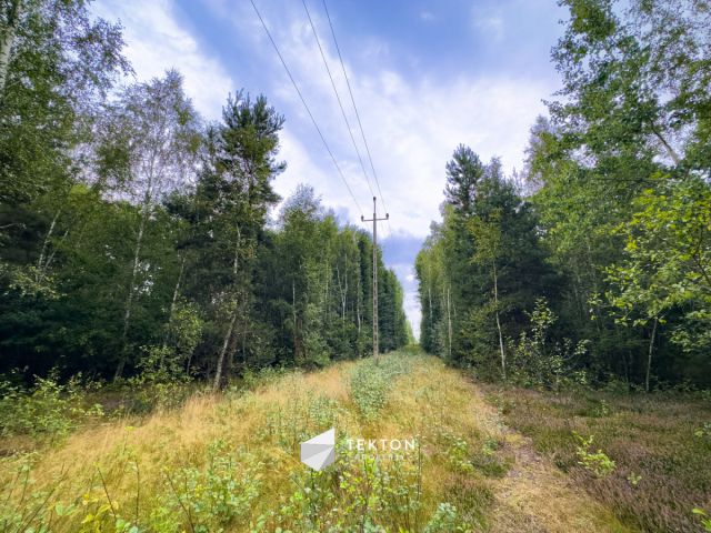 Działka rolno-budowlana Janinów, ul. Szkocka. Zdjęcie 7