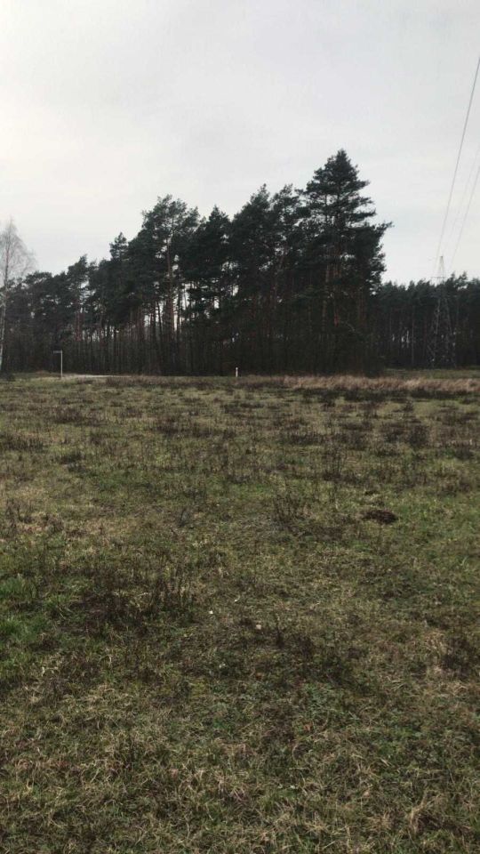 Działka budowlana Sosnówka. Zdjęcie 5