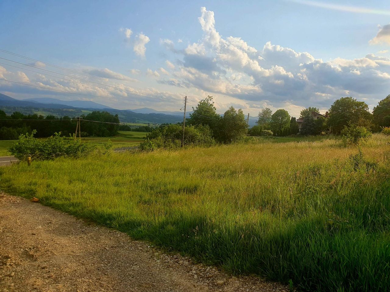 Działka budowlana Trzciana