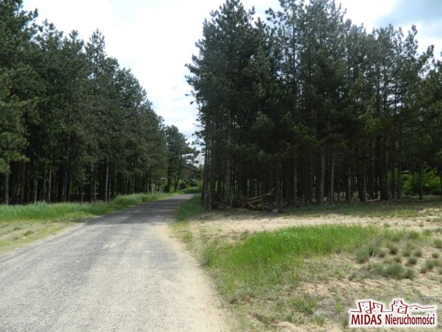 Działka rolna Kowal. Zdjęcie 7