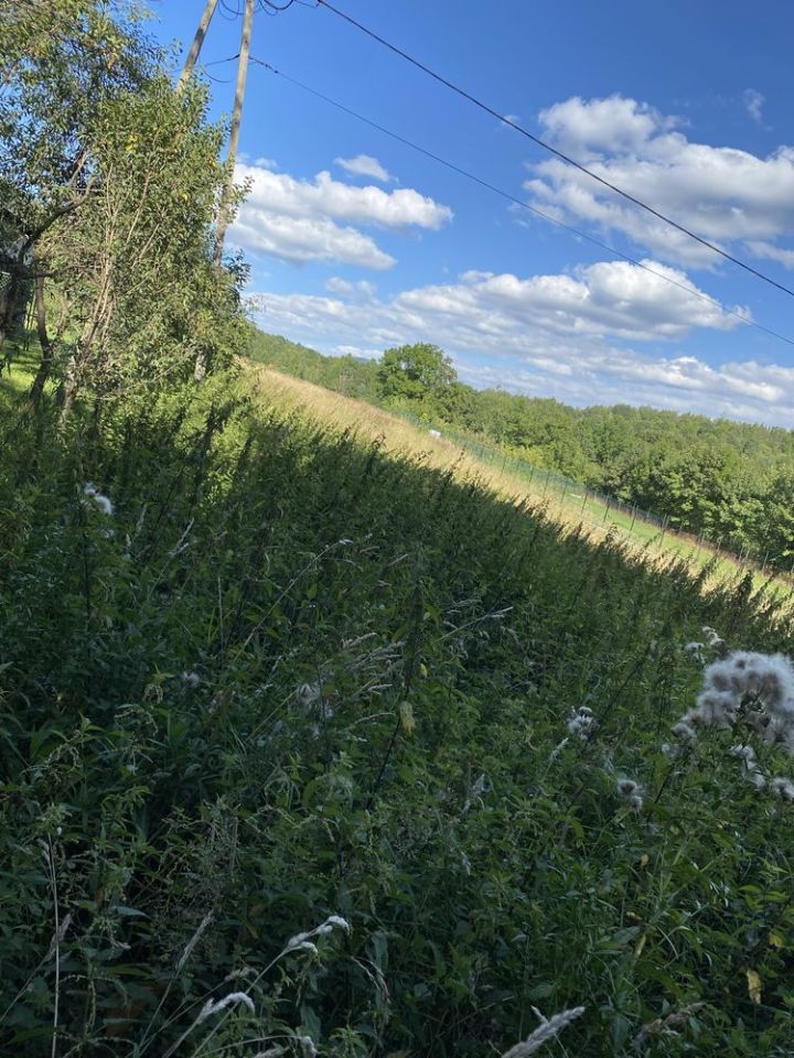 Działka budowlana Mszana Dolna, ul. Leśna. Zdjęcie 4