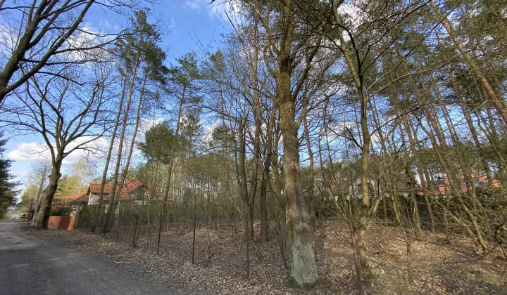Działka budowlana Chotomów, ul. Kasztanowa
