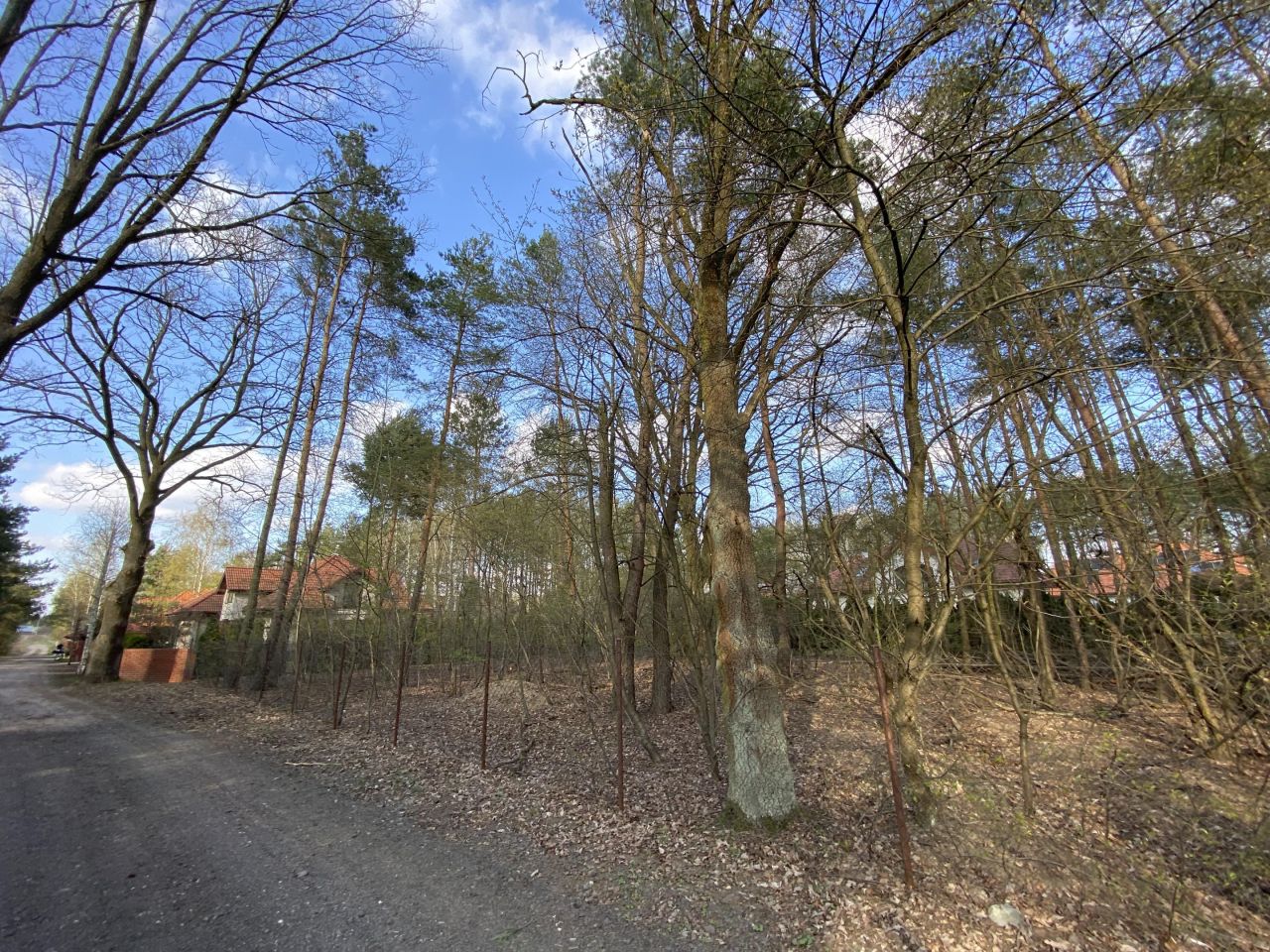 Działka budowlana Chotomów, ul. Kasztanowa. Zdjęcie 1