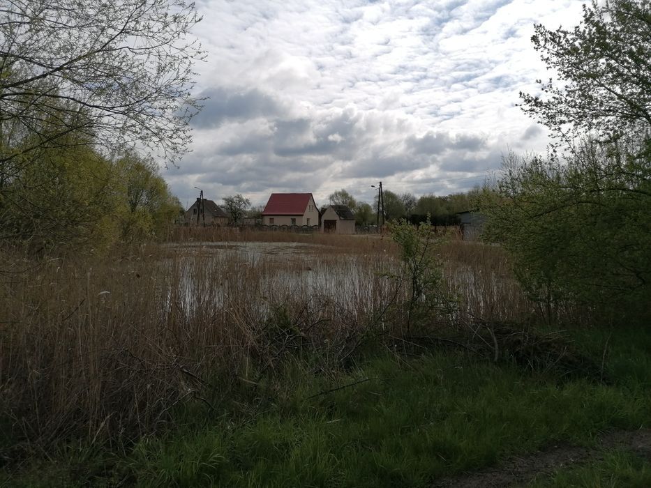 Działka budowlana Nowy Lubusz. Zdjęcie 6