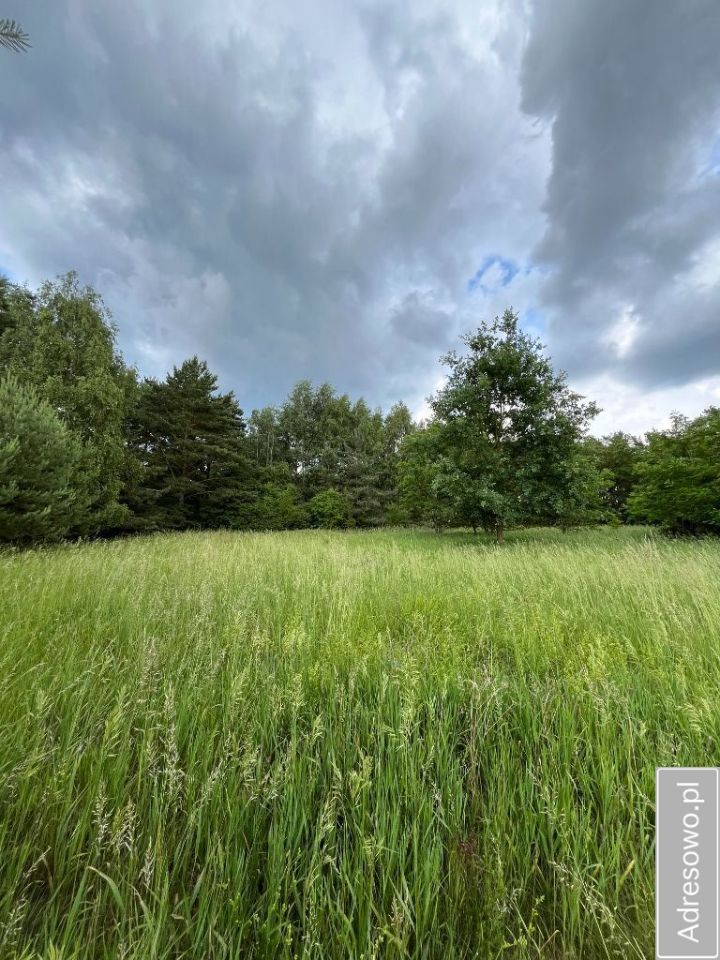 Działka Krosinko. Zdjęcie 10