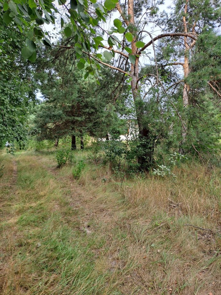 Działka budowlana Augustówek, ul. Żwirowa. Zdjęcie 2