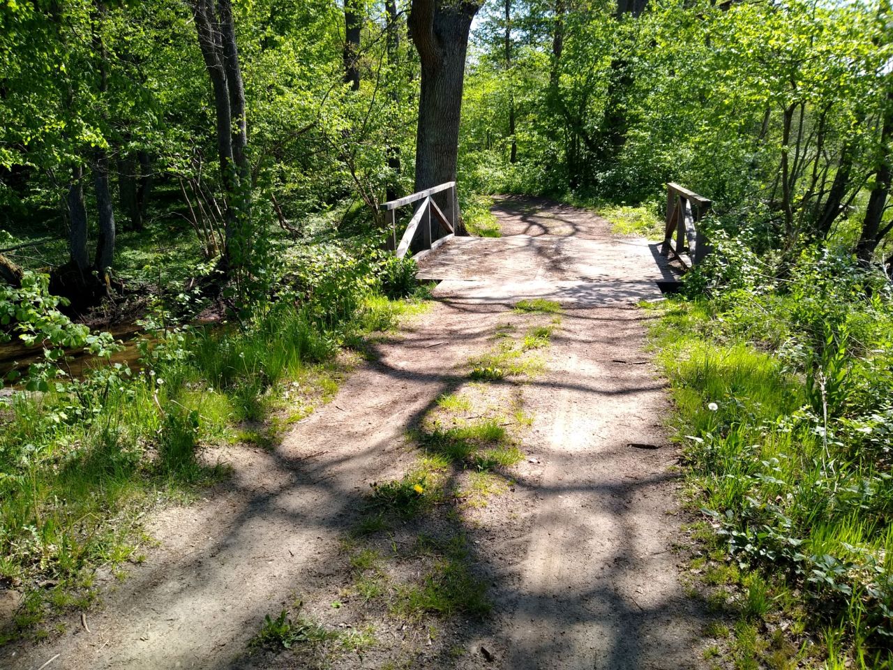 Działka siedliskowa Bożepole Wielkie. Zdjęcie 10