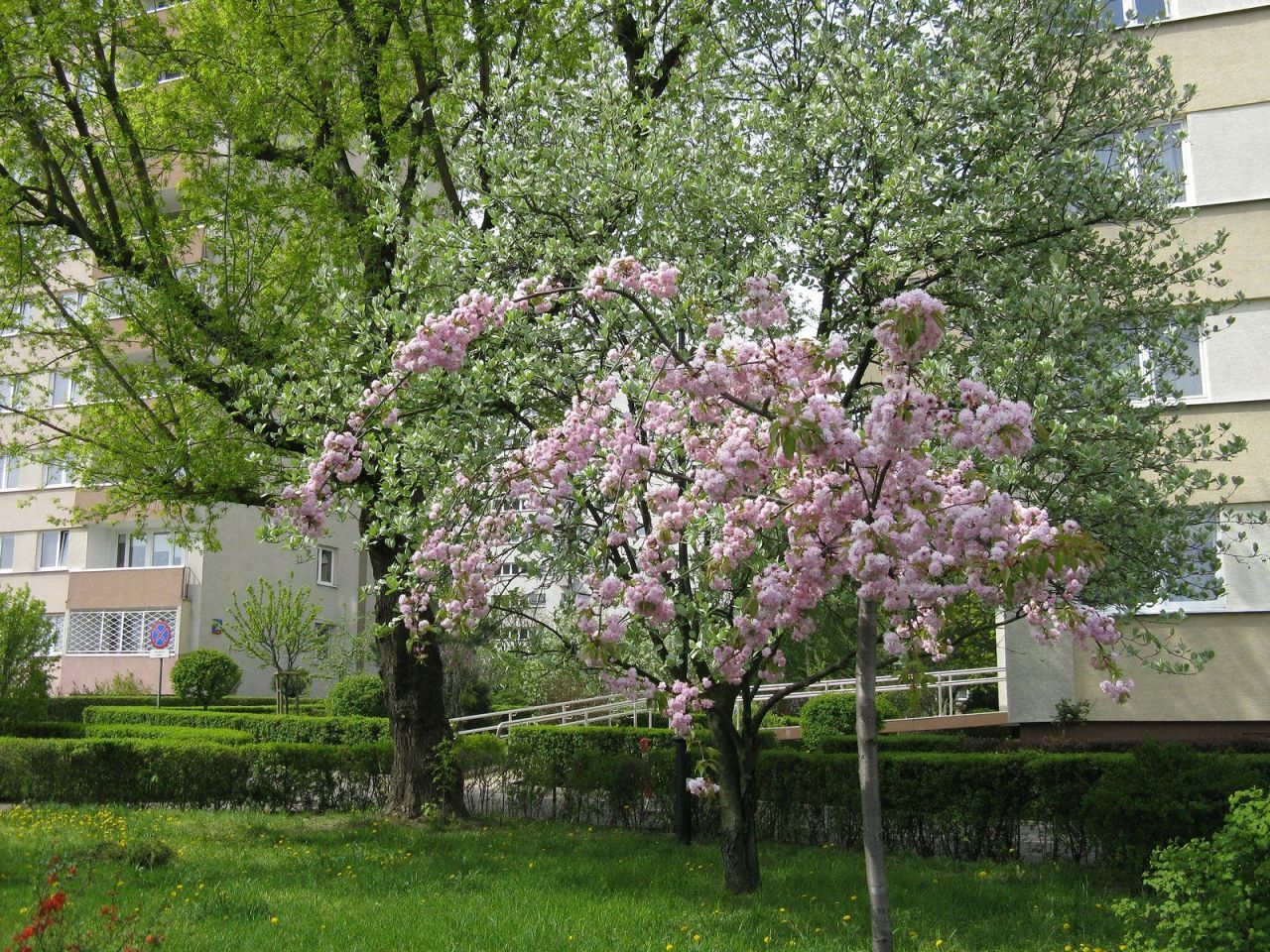 Mieszkanie 3-pokojowe Warszawa Mokotów, Czerniakowska. Zdjęcie 51