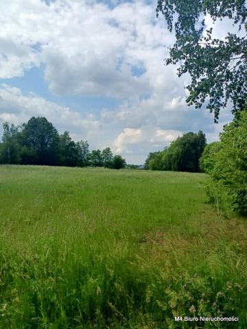 Działka Świerzowa Polska. Zdjęcie 2