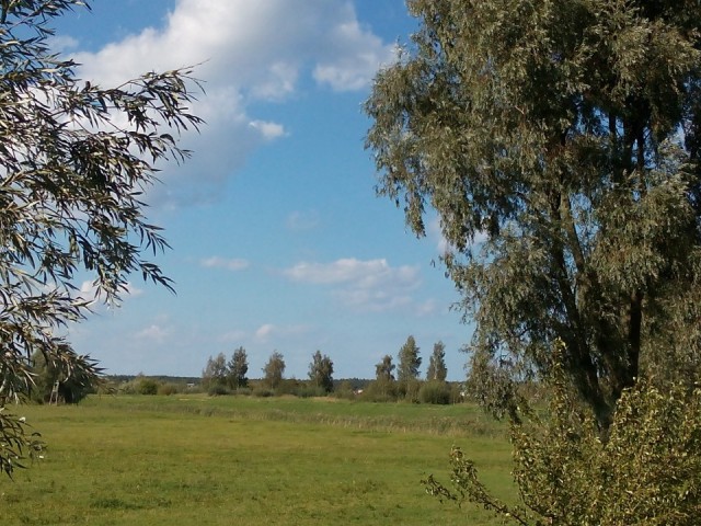 Działka siedliskowa Kobyla Kępa. Zdjęcie 1