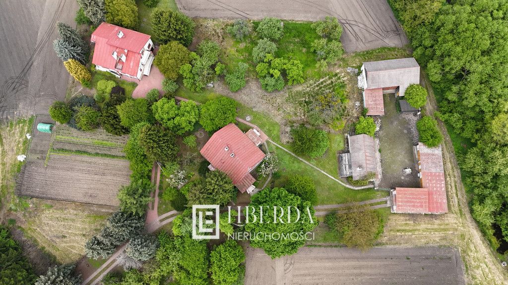 siedlisko Jaszczów. Zdjęcie 5